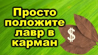 Просто положите лавровый лист в карман и начнут приходить деньги из ниоткуда