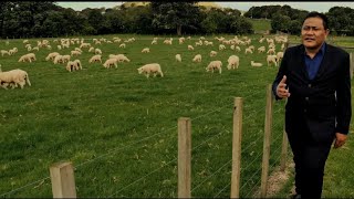 Ps Faamanu Tutagalevao - E Ifo Uma Tagata Official Video