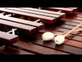 MARIMBAS DE CHIAPAS  Rogmeld2012 Vive la Música !!