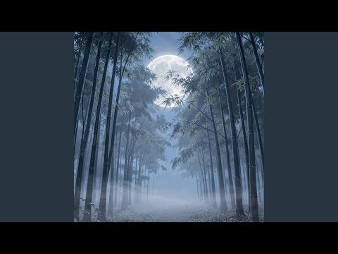 Soft Sleep with Theta Waves - Night Path