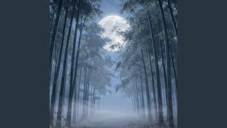 Soft Sleep with Theta Waves - Night Path