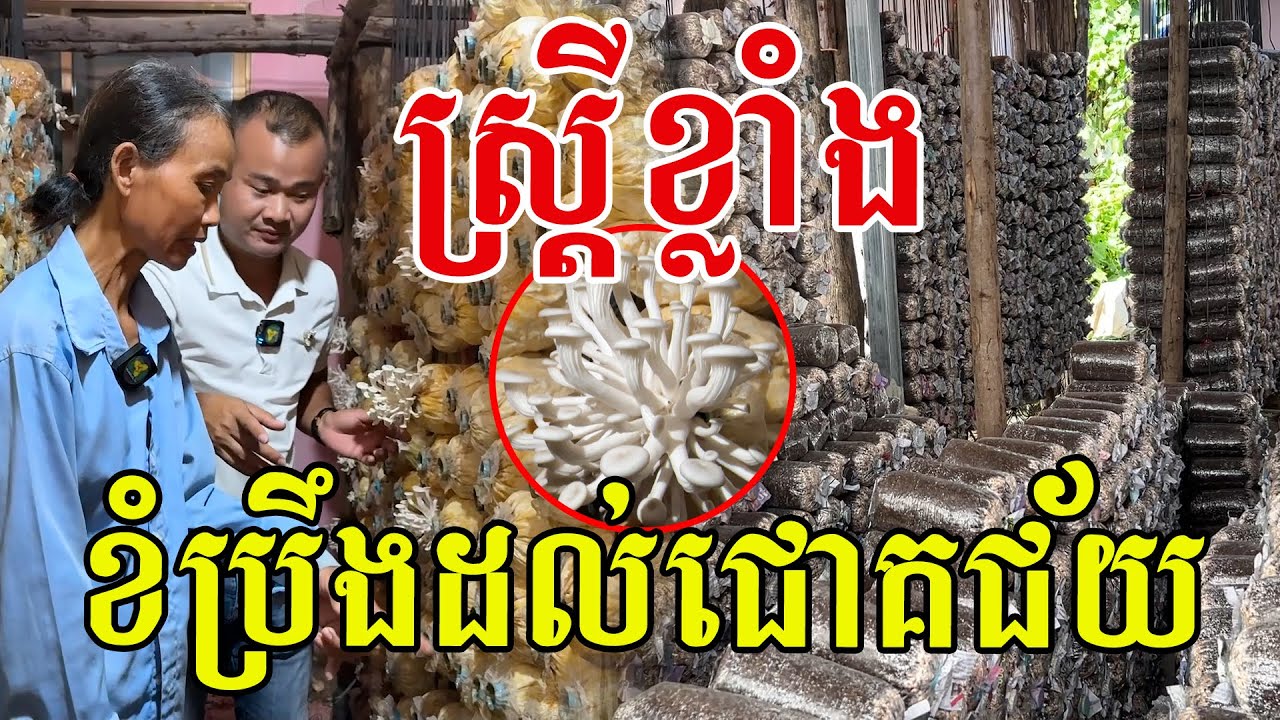 ស្រ្តីខ្លាំង​ ខំប្រឹងរហូតជោគជ័យ​ មានការងារជួយអ្នកភូមិ