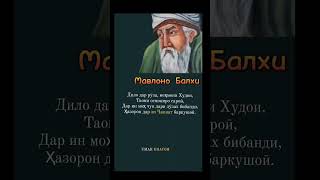 Мавлоно Балхи-персидский поэт-суфий XIII века, исламский богослов, факих.