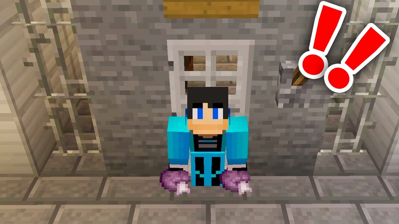 マイクラ 10 ネコとの出会い 海を越える男たち Minecraft 的youtube视频效果分析报告 Noxinfluencer