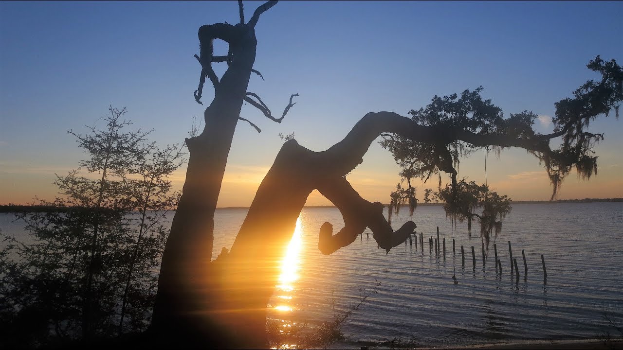 truck parts Florida Teaser