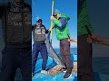 صید ماهی شیر در جزیره لاوان با لور ۳۶ گرمی 
