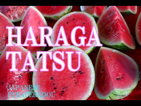 (ENG SUB)HARAGA TATSU.WHAT A DIFFRENT WITH GET ANGRY ??