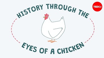 History through the eyes of a chicken - Chris A. Kniesly