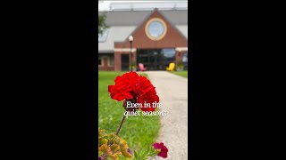Quiet Summer Moments on Campus