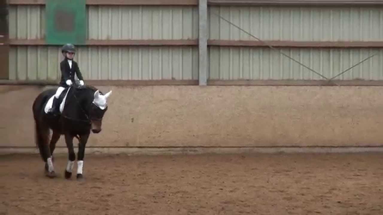 Malu (5) - Reitabzeichen 8 - Dressur - 01.03.2015