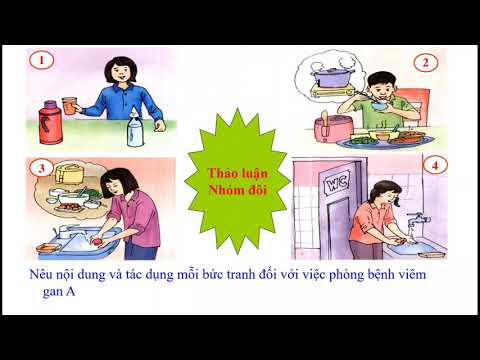 Video KHOA HỌC 5 - TUẦN 8 - PHÒNG BỆNH VIÊM GAN A. - youtube