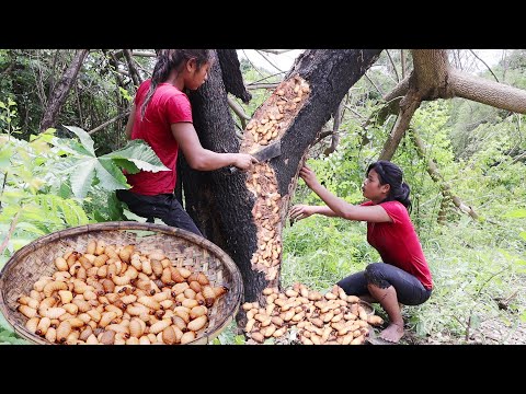 Survival skills: Pick Worms herd on tree for food - Cooking Worms for Eating delicious in Jungle