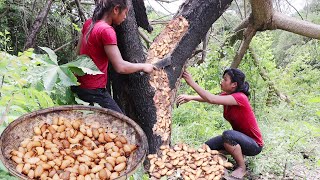 Survival skills: Pick Worms herd on tree for food - Cooking Worms for Eating delicious in Jungle