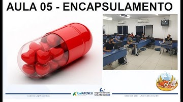 AULA 05 - Curso POO com JAVA: Encapsulamento - Criando Interface