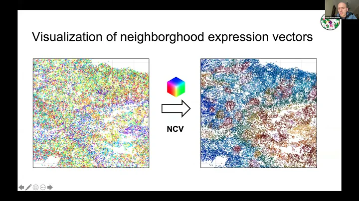 Peter Kharchenko | Bayesian segmentation of spatia...