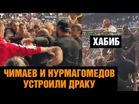 Реакция Хабиба  Чимаев и Абубакар Нурмагомедов подрались после победы Махачева на UFC 280