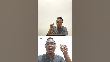 Pemanfaatan Python dan Kecerdasan Buatan untuk Pembelajaran Bahasa Isyarat Adaptif dan Inklusif