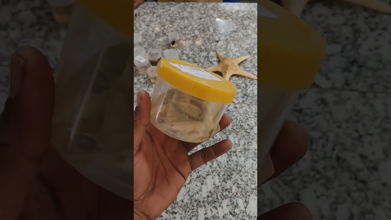 low cost science equipment