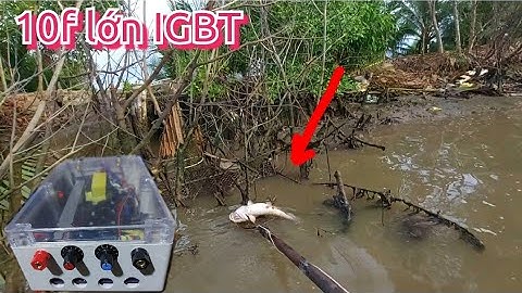 Test thực tế kích cá tổng hợp igbt 10 fét lớn nước mặn cá nỏi lên đẹp | Điện Tử Nguyễn Sự |