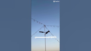 قرآن كريم 🤩🤎 #foryou #اكسبلور #المصحف #الرحمن #لايك #النظافه #ترند #المراه #دويتو #اهميه