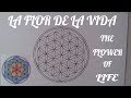 Como dibujar la flor de la vida/ The flower of life. Subtitle. English - Spanish