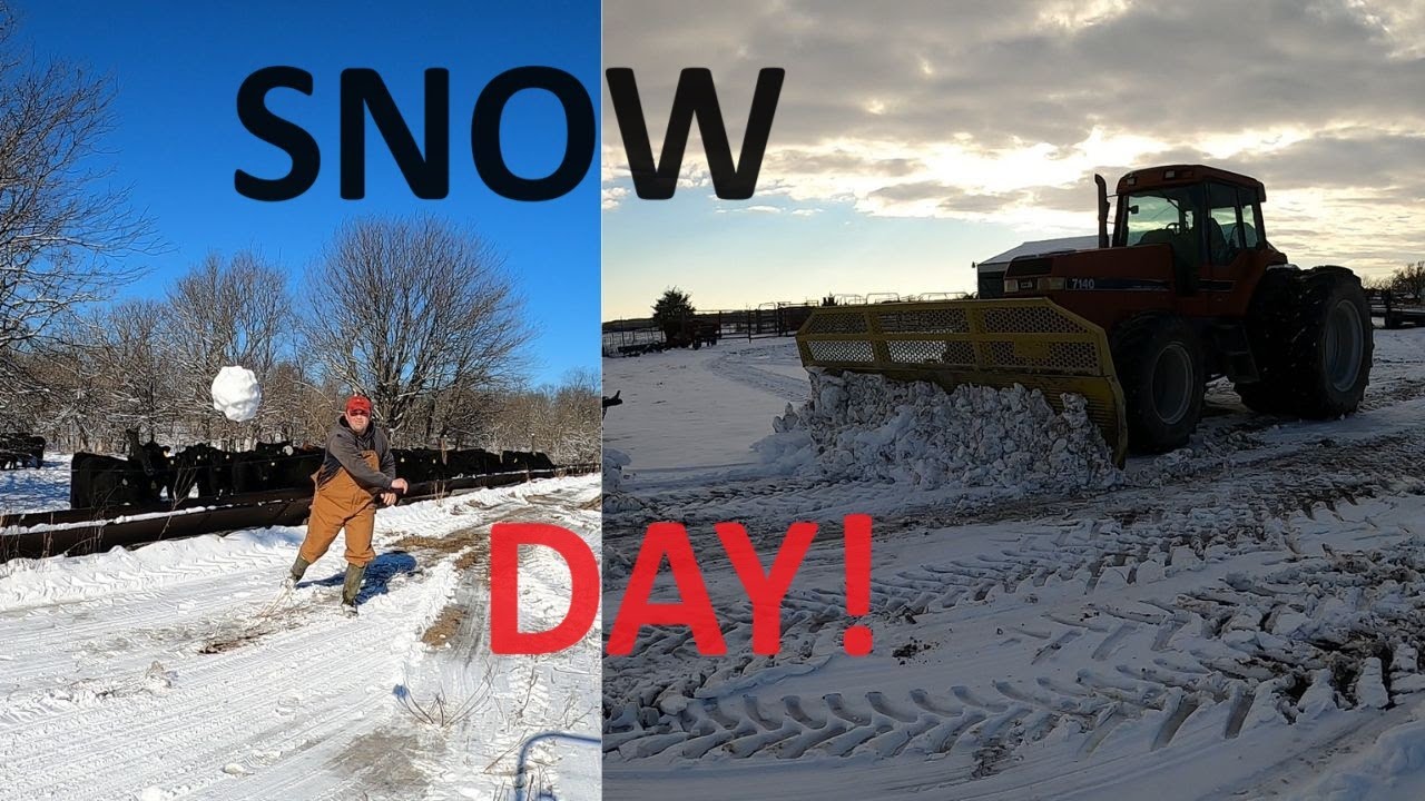 The White Blanket Found Us! Digging out from the first Winter Storm of ...