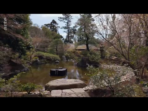 Vidéo: A quoi sert un jardin zen japonais ?