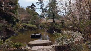 Japon Lart Du Jardin Zen - Geo Reportage - Arte