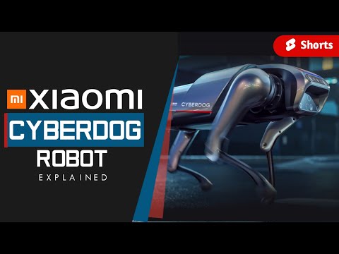 Xiaomi Cyberdog|#Shorts|| #BrainTech