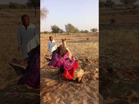 فتيات بشفاه جميلة و جالسات يحاولن الجلوس كيف تقيأت الفتاة