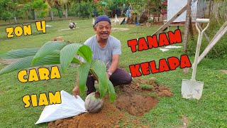 ✅ EP6 || BEGINI KAEDAH PERKEBUNAN THAILAND | KELAPA TACUNAN