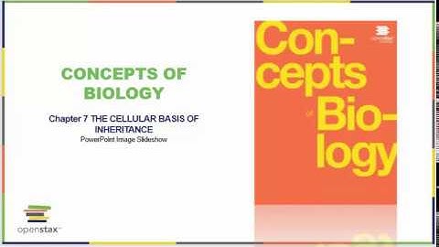 Chapter Seven  OpenStax Concepts of Biology