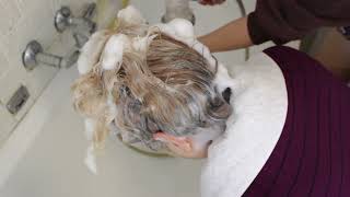 #asmr head washing and massage: a soothing and #relaxing experience🥱😴💤#asmrsleep #hairasmr #hairplay
