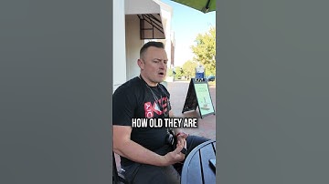 Waarom hondentraining belangrijk is: dit filmpje van 10 seconden zegt alles!