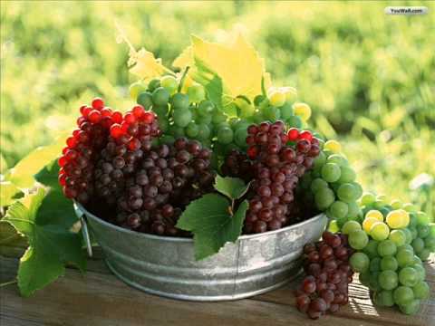 შემოქმედი - ლაჭები და ოფიტარა (ლეჩხუმური) , shemokmedi - lachebi da ofitara (Lechxumuri)