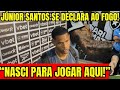 JÚNIOR SANTOS SE DECLARA AO BOTAFOGO! “NASCI PARA JOGAR AQUI!” FALOU SOBRE NOVO TÉCNICO!