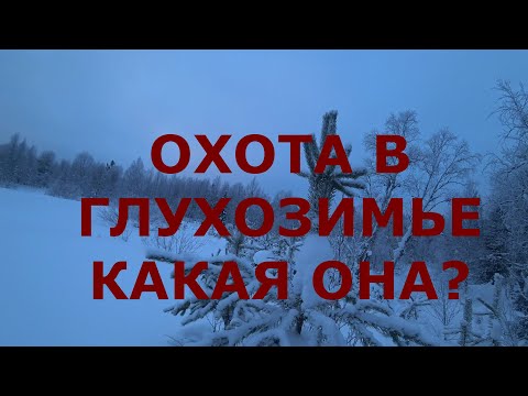 ОХОТА НА ЗАЙЦА ПО ГЛУБОКОМУ СНЕГУ!  #охота #охота_на_зайца #тропление #тропим_зайца_на_лыжах