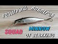 Копия Squad Minnow от Bearking (РОЗЫГРЫШ ВОБЛЕРОВ)