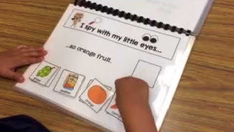 I Spy Fruit Adapted Book