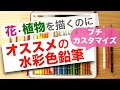 【水彩色鉛筆】花や植物を描くのにオススメの水彩色鉛筆は？失敗しない水彩色鉛筆選び｜自分流にプチカスタマイズして使う