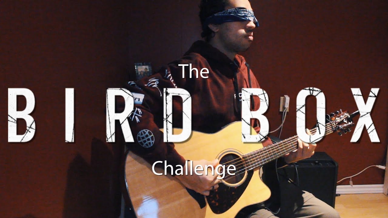 Watch Guitarist Does The Bird Box Challenge on YouTube Watch Guitarist Does The Bird Box Challenge on YouTube