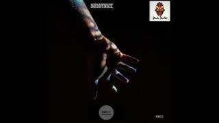 Buddynice _ 21 Bridges (Remedial Mix)