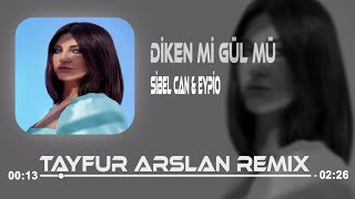 Sibel Can & Eypio - Diken Mi Gül Mü (Tayfur Arslan Remix) Resimi