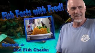 Fish Facts with Fred! S2 Ep 4: Cod Fish Cheek