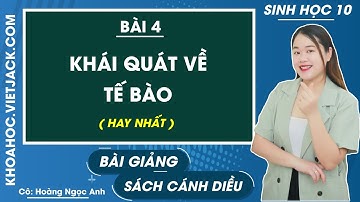 Sinh học 10 Cánh diều Bài 4: Khái quát về tế bào (HAY NHẤT)
