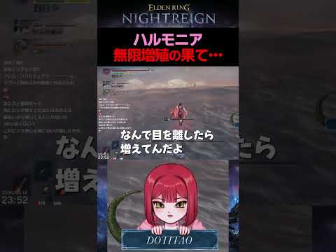 ナイトレインで一番綺麗なバグ【エルデンリング ナイトレイン/ELDEN RING NIGHTREIGN】