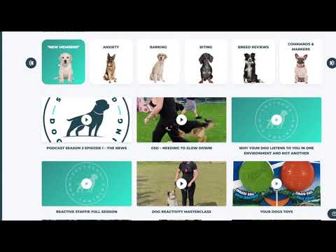 Southend Dog Training Website Walkthrough