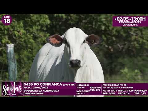 LOTE 18   DVD 5436