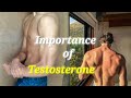 Why you need Testosterone/ boost with ( Fixing 5 things )