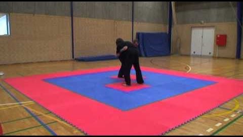 Tui Shou - Pushing Hands.mp4